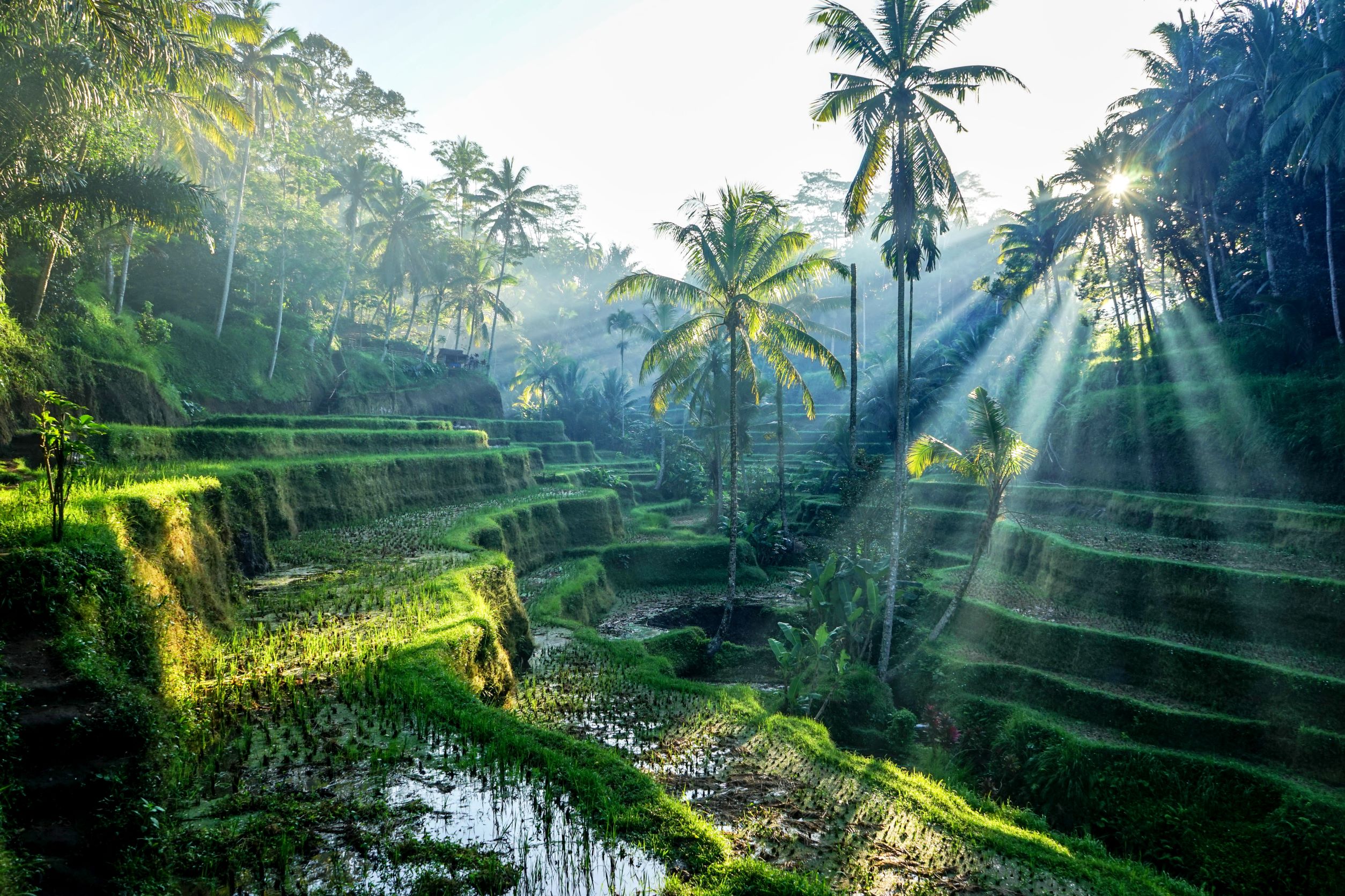 11 Hidden Gem Tour di Bali yang Wajib Dikunjungi